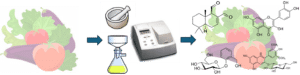 vegetables graphic with an arrow pointing to scientific equipment and then pointing to vegetables with chemical makeup overlaid